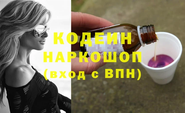 хмурый Абаза