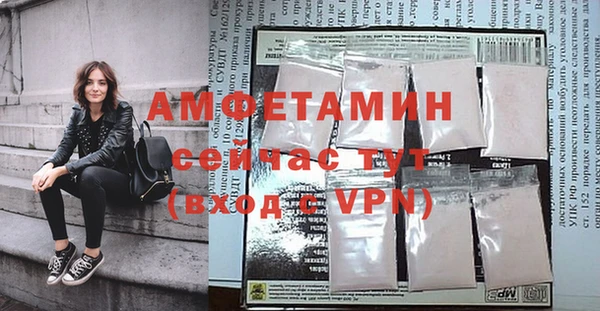 хмурый Абаза