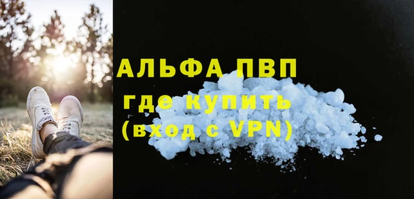 хмурый Абаза