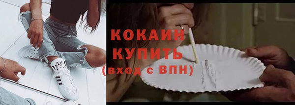 хмурый Абаза