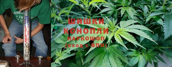 хмурый Абаза