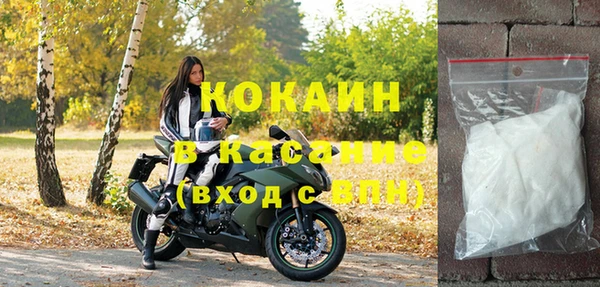 хмурый Абаза