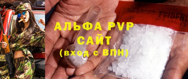 хмурый Абаза