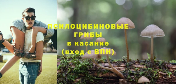 хмурый Абаза