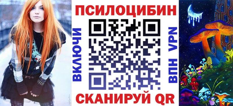Псилоцибиновые грибы Psilocybe Кострома