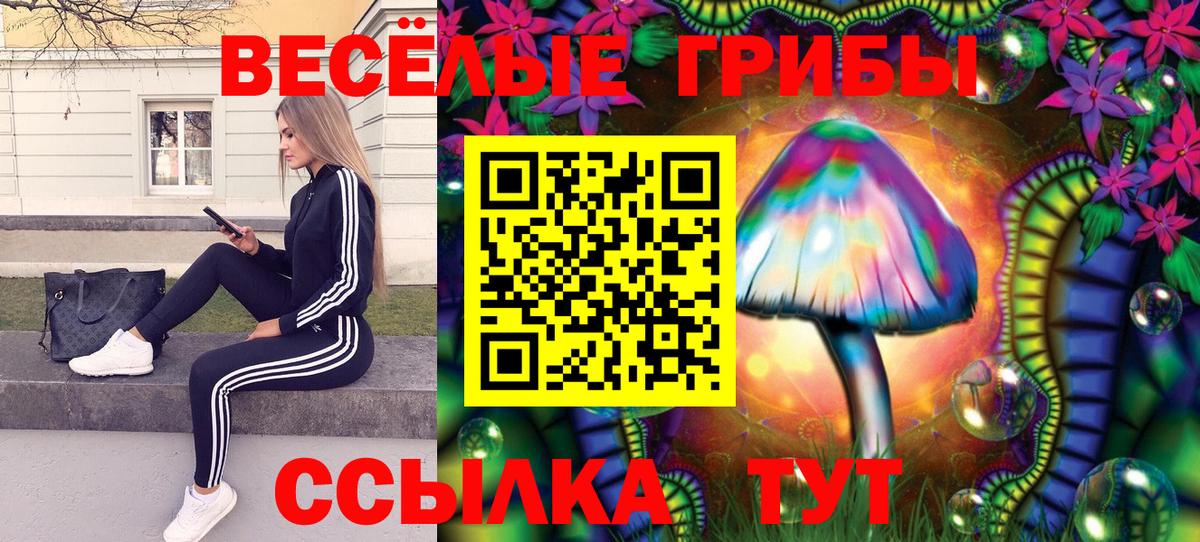 Псилоцибиновые грибы Magic Shrooms  Вход с VPN  Кострома 